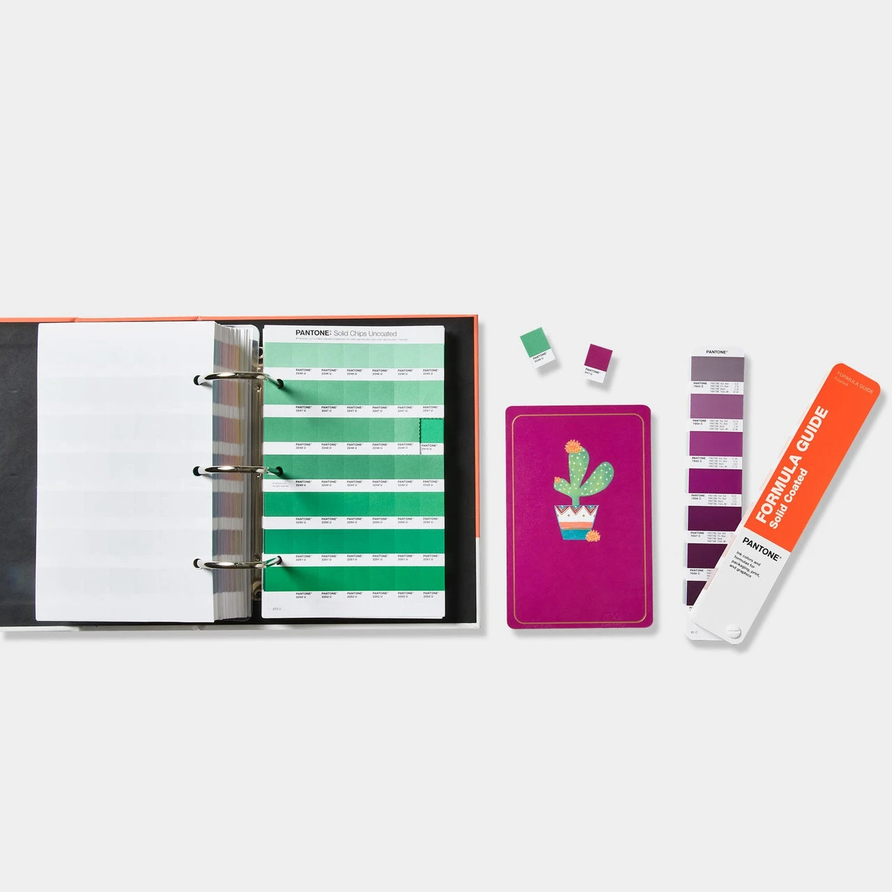 Pantone Solid Color Set (2 guides + chip book bundle) - Image 4